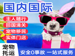 吴圩航空物流国际宠物托运 【国